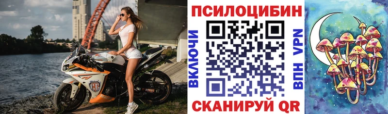 Купить Красновишерск Псилоцибиновые грибы прущие грибы